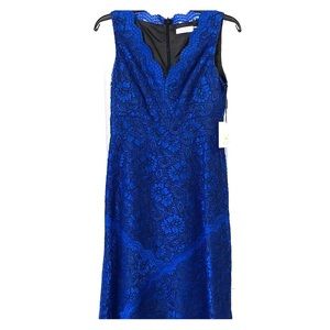 CALVIN KLEIN Royal Blue & Black Lace Dress Size 2